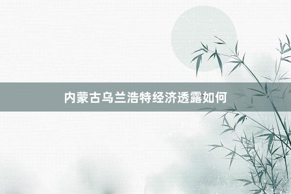 内蒙古乌兰浩特经济透露如何