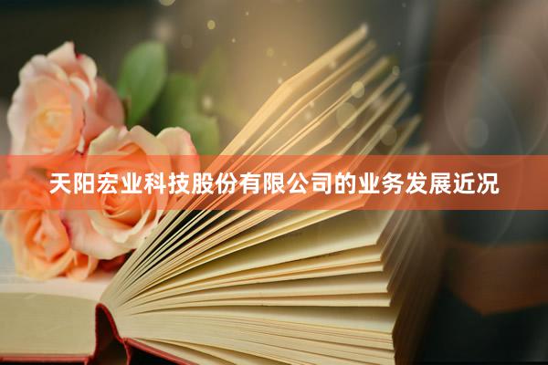 天阳宏业科技股份有限公司的业务发展近况